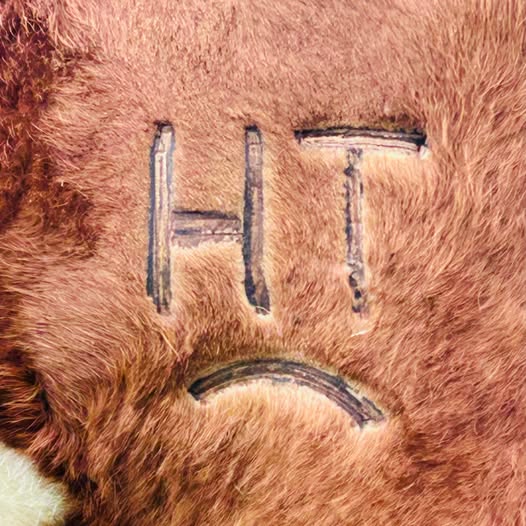 ht ht